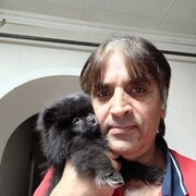 ���������� ������, ���� ������� ����, 46 ���, ������������ ��� ������, ����� � ���������, c�������� ���������