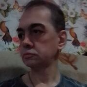   ,   , 49 ,   ,   