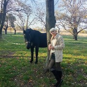 ���������� ��������������, ���� ������� ����, 57 ���, ������������ ��� c�������� ���������