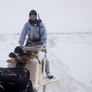 ������ ��������� �� ���������)