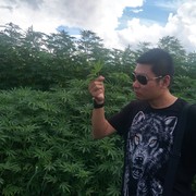  ,    Xing, 35 ,   ,   , c 