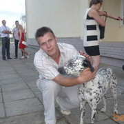 ���������� �������, ���� ������� ������, 38 ���, ������������ ��� ������