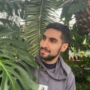 ���������� �����-���������, ���� ������� ������, 30 ���, ������������ ��� ������, ����� � ���������