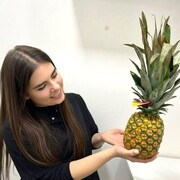 ���������� ��������, ���