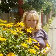 ���������� ��������������, ���� ������� �������, 55 ���, ������������ ��� ����� � ���������, c�������� ���������