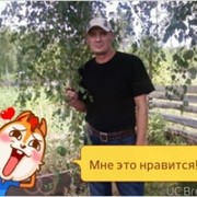  ,  , 62