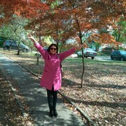 ���������� �����������, ���� ������� ���������, 74 ����, ������������ ��� ����� � ���������