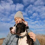 ���������� ���������, ���� ������� ����, 45 ���, ������������ ��� ������, c�������� ���������, ���������