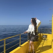 ���������� ������� ��������, ����