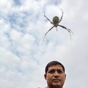  ,   , 34 ,   ,   , 