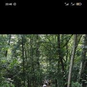 ���������� �����, ���� ������� �������, 50 ���, ������������ ��� ������, ����� � ���������, c�������� ���������, ���������