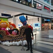 ���������� �����������, ���� ������� �����, 39 ���, ������������ ��� ������, ����� � ���������