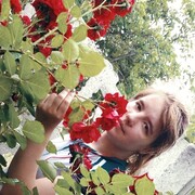  ,   , 29 ,   ,   , c 