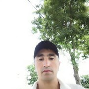  ,   Kamoll, 33 ,   ,   , c , 