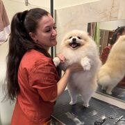  -,   , 42 ,     , c , 