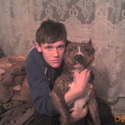 ���������� ����-�����������, ���� ������� ����, 33 ����, ������������ ��� ������, ����� � ���������, c�������� ���������