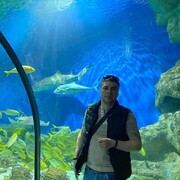  ,   , 41 ,   ,   , c , 
