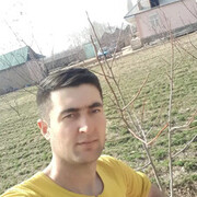 ���������� �����������, ���� ������� ����, 31 ���, ������������ ��� ������, ����� � ���������, c�������� ���������