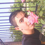  ,   , 32 ,   