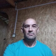  ,   , 54 ,   c 