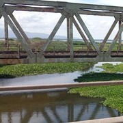 ���������� ����, ���� ������� Qurban, 47 ���, ������������ ��� ������, ����� � ���������, c�������� ���������