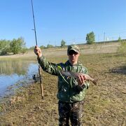 ���������� �������, ���� ������� Sergey, 37 ���, ������������ ��� c�������� ���������