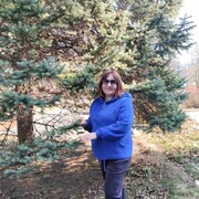  ,   , 48 ,   c , 