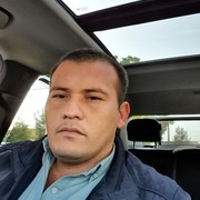 ���������� �������, ���� ������� Sardor, 37 ���, ������������ ��� ������, ����� � ���������, c�������� ���������