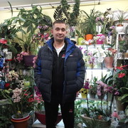 ���������� ����, ���� ������� �����, 37 ���, ������������ ��� ������, ����� � ���������, c�������� ���������