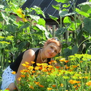 ���������� �����, ���� ������� �������, 58 ���, ������������ ��� ������, ����� � ���������, c�������� ���������