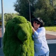 ���������� ����������, ���� ������� �������, 59 ���, ������������ 