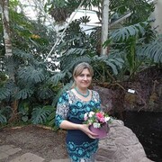 ���������� ��������, ���� ������� �������, 44 ����, ������������ ��� ����� � ���������, c�������� ���������