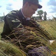 ���������� ����, ���� ������� ���������, 37 ���, ������������ ��� ������, ����� � ���������, c�������� ���������