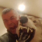 ���������� ���������, ���� ������� ������, 43 ����, ������������ ��� c�������� ���������, ���������