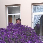  ,   , 43 ,   ,   