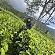 ���������� ���������, ���� ������� ����, 31 ���, ������������ ��� ������, ����� � ���������, c�������� ���������, ���������