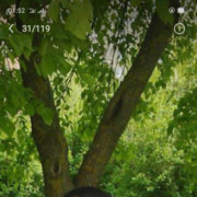 ���������� ���������, ���� ������� �����, 34 ����, ������������ ��� ������, ����� � ���������, c�������� ���������