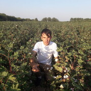 ���������� ������, ���� ������� ������, 32 ����, ������������ ��� ������, ����� � ���������, c�������� ���������