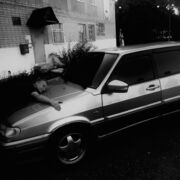 ���������� �������, ���� ����� ���������, 25 ���, ������������ ��� ������, ����� � ���������, c�������� ���������