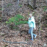 ���������� �����������, ���� ������� �����, 45 ���, ������������ ��� ����� � ���������, c�������� ���������, ���������