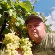  ,   , 44 ,   c 