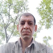 ���������� ����, ���� ������� ����, 43 ����, ������������ ��� ������, ����� � ���������