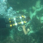 ���������� �����, ���� ������� ���, 31 ���, ������������ 