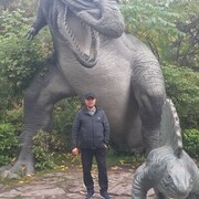  ,   , 44 ,   ,   