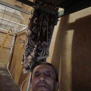 ���������� �������������, ������� Knabib, 31