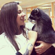  Warszawa,   , 34 ,   ,   