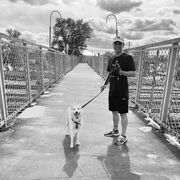 ���������� ������, ���� ������� ����, 26 ���, ������������ ��� ������, ����� � ���������