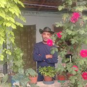  ,   , 43 ,   ,   