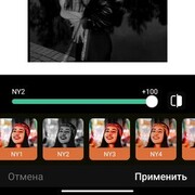 ���������� �����������, ���� ������� Apolinaria, 24 ����, ������������ ��� ������, ����� � ���������