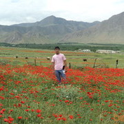  ,   Oyatullo, 38 ,   ,   , c , 